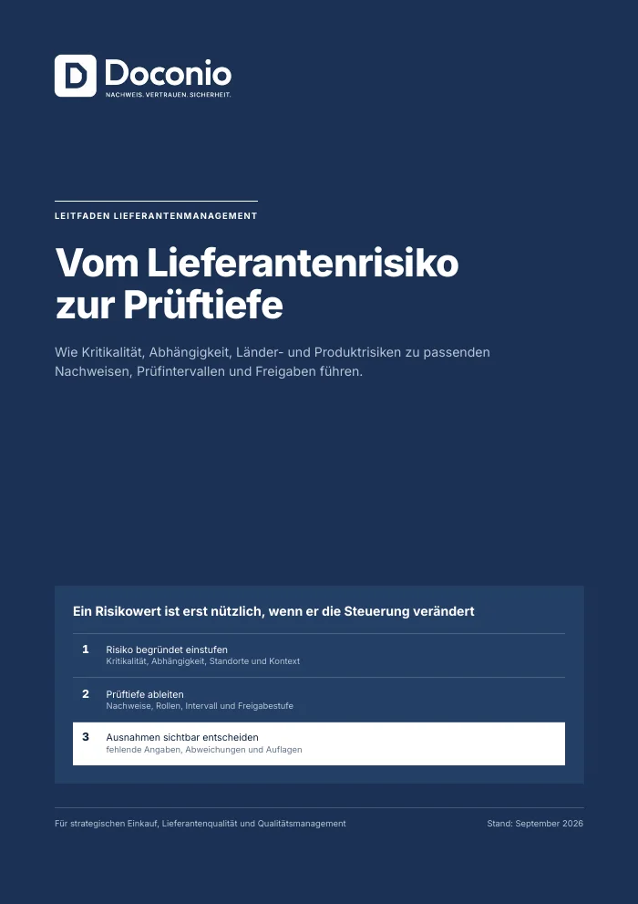 From supplier risk to review depth - preview page 1